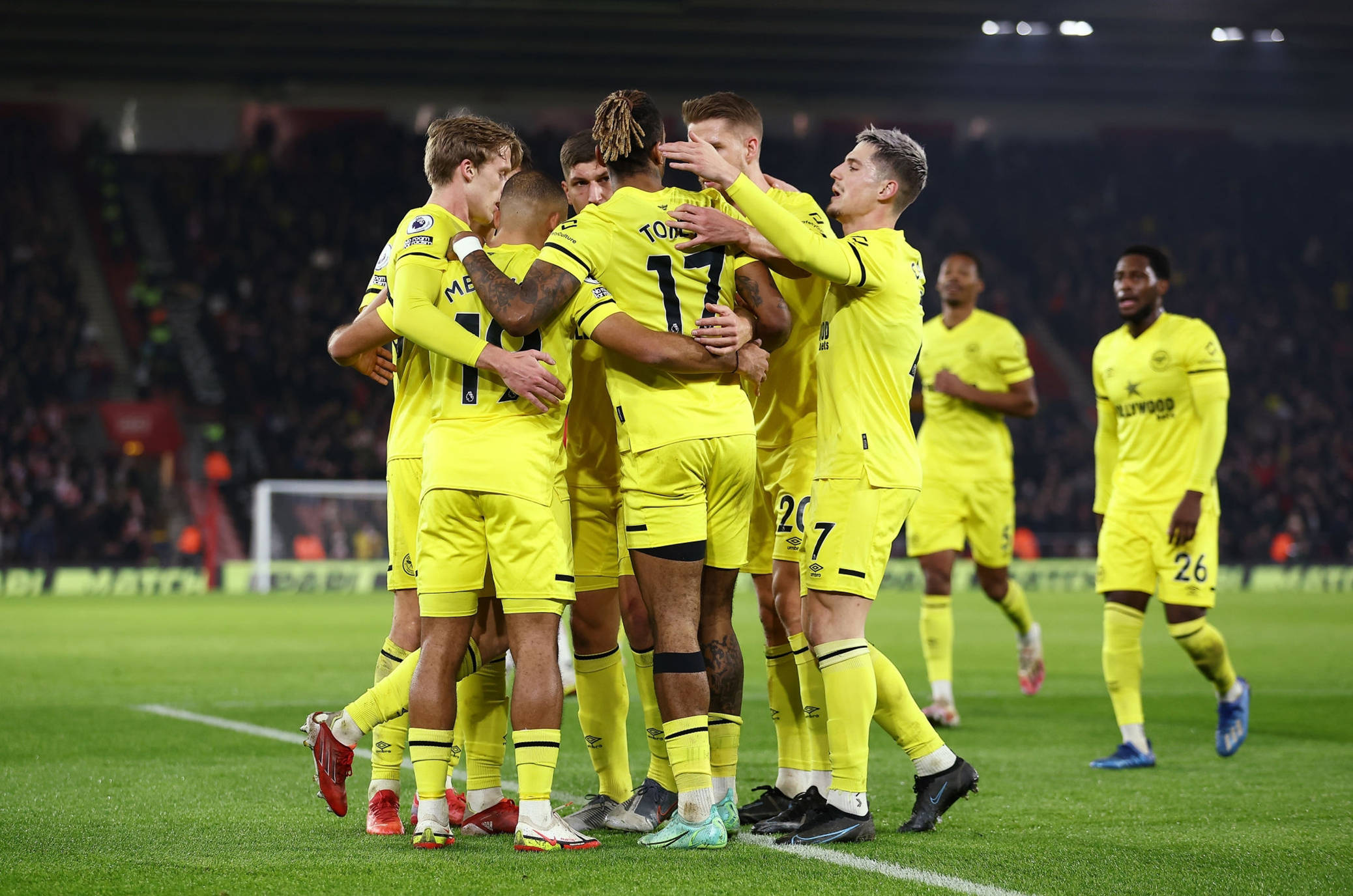 近年来他们 近年来他们